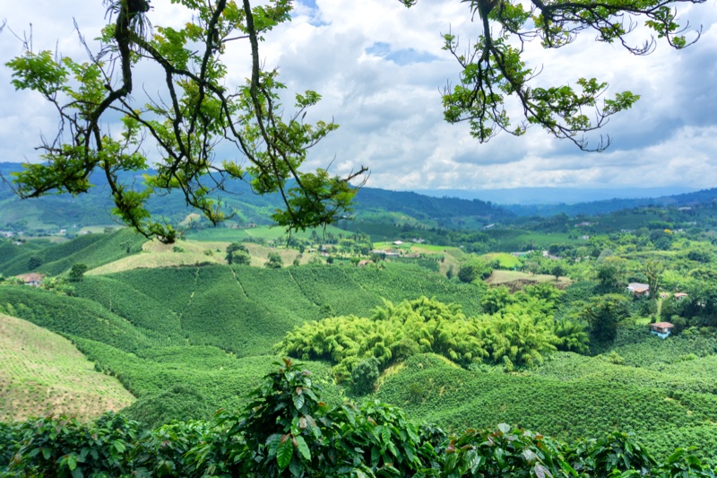 Valle Central